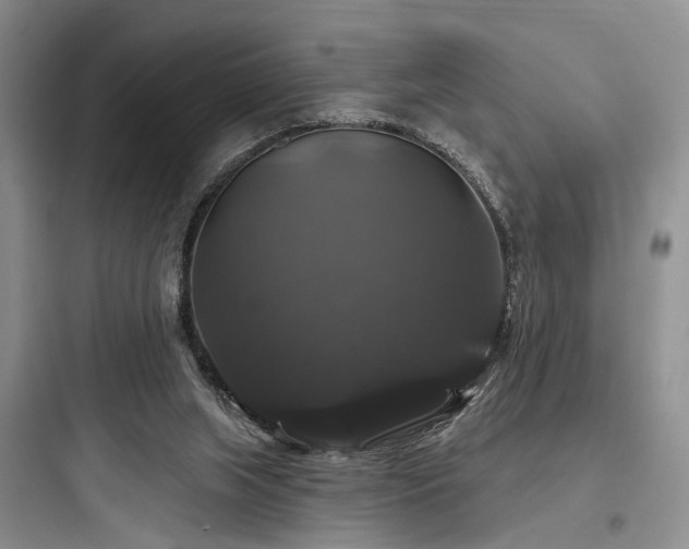 X0000097990063200803241351