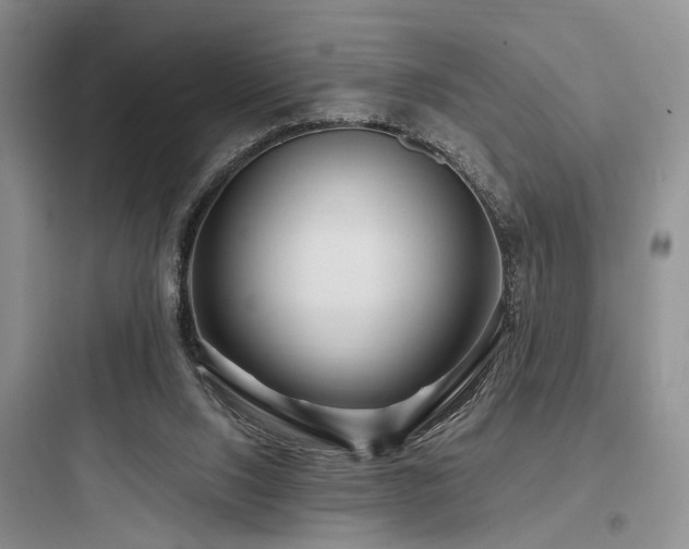 X0000097990064200803241351