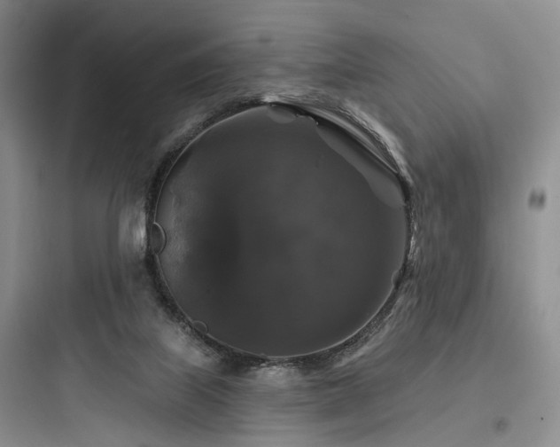 X0000097990067200803241351