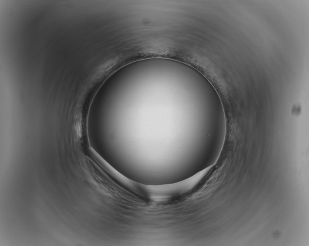 X0000097990068200803241351