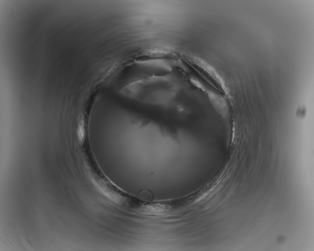 X0000097990069200803241351