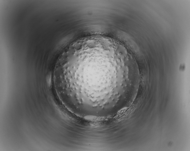 X0000097990070200803241351