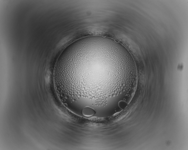 X0000097990071200803241351