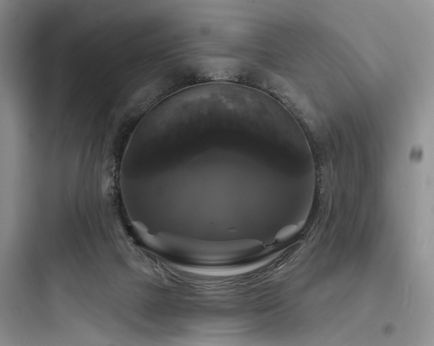 X0000097990073200803241351