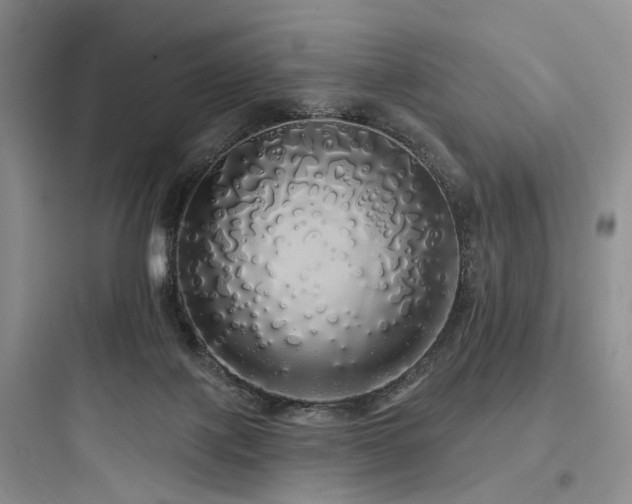 X0000097990075200803241351