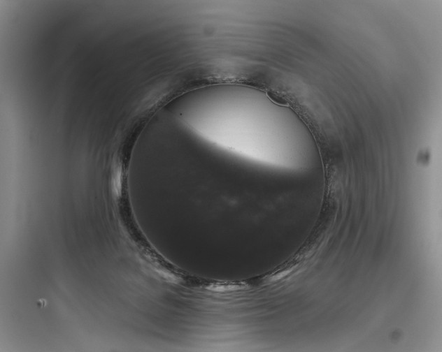 X0000097990076200803241351