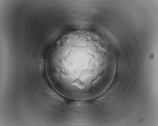 X0000097990077200803241351