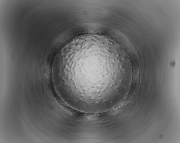 X0000097990078200803241351