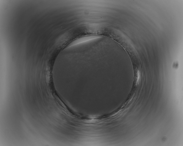 X0000097990080200803241351