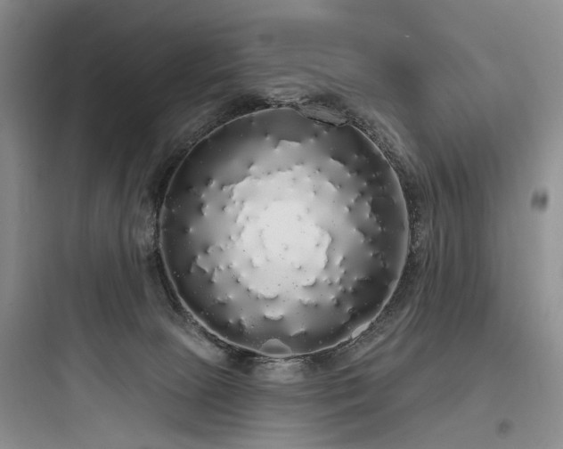 X0000097990081200803241351