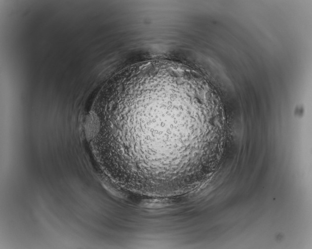 X0000097990082200803241351