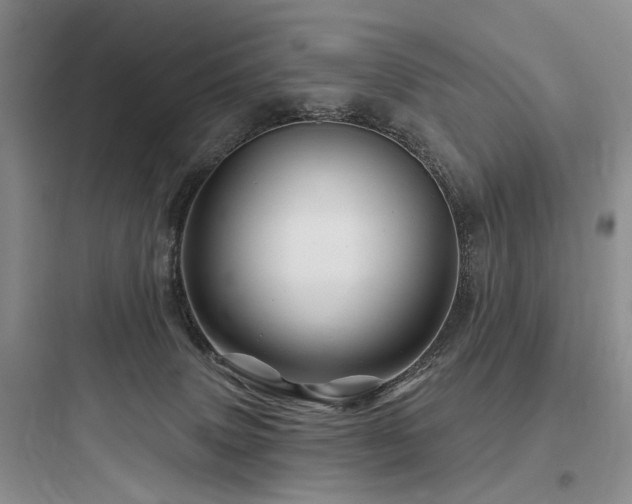 X0000097990083200803241351
