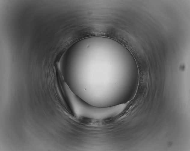 X0000097990084200803241351