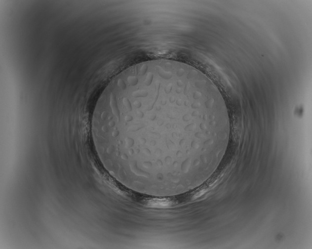 X0000097990085200803241351