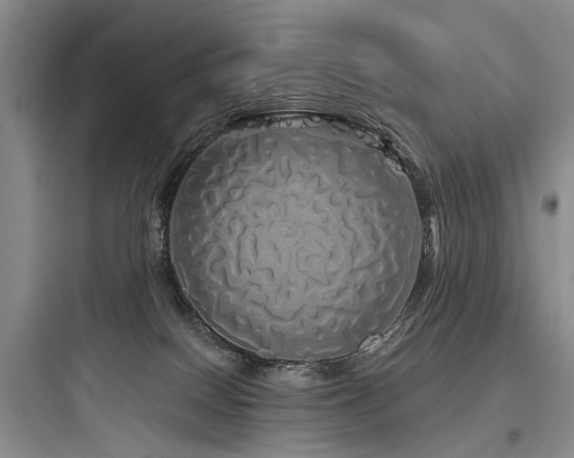 X0000097990086200803241351