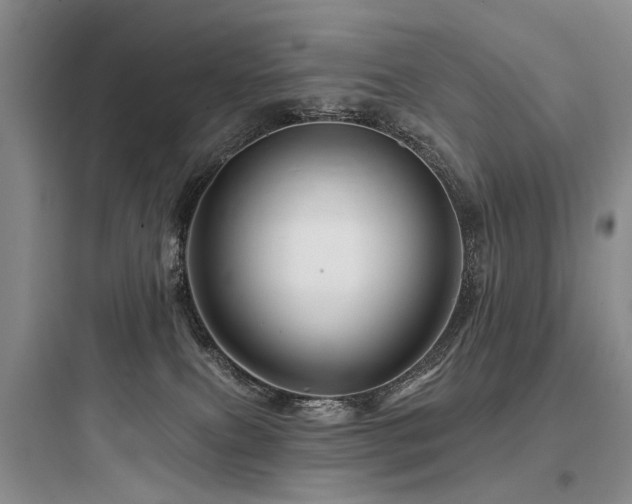 X0000097990087200803241351