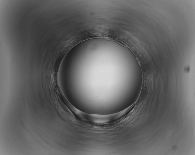 X0000097990088200803241351