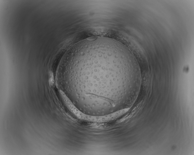 X0000097990089200803241351