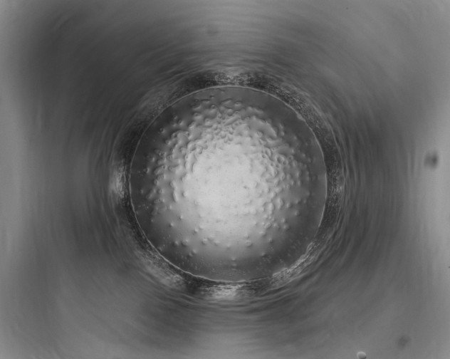 X0000097990090200803241351