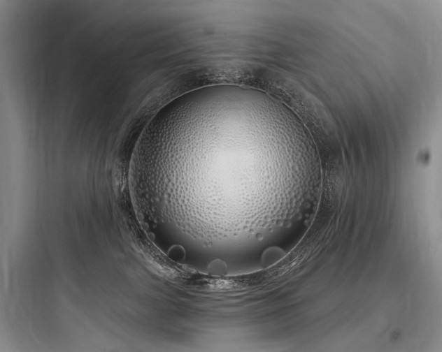 X0000097990091200803241351