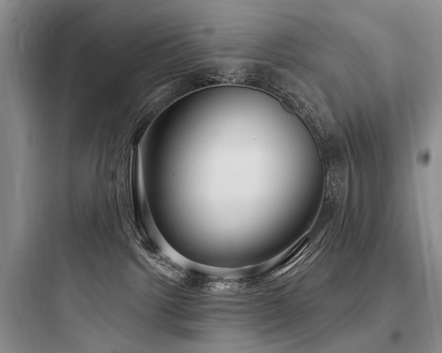 X0000097990092200803241351