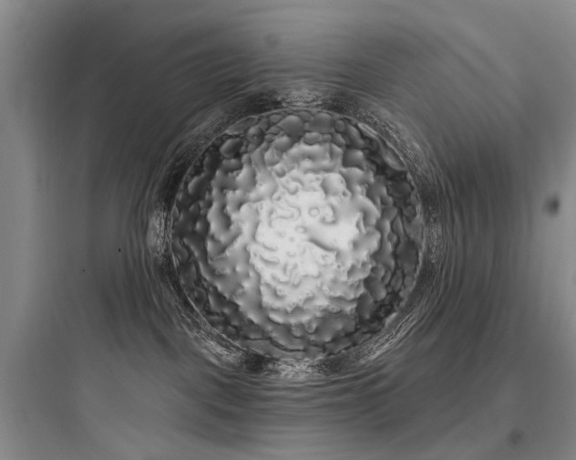 X0000097990093200803241351