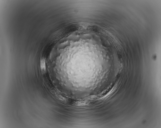 X0000097990094200803241351