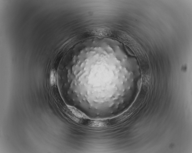 X0000097990095200803241351