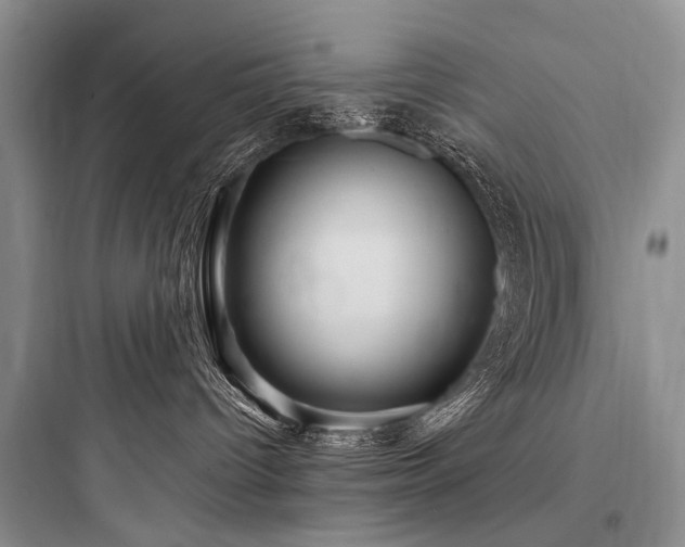 X0000097990096200803241351