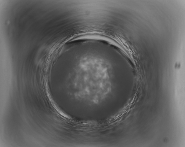 X0000097990097200803241350