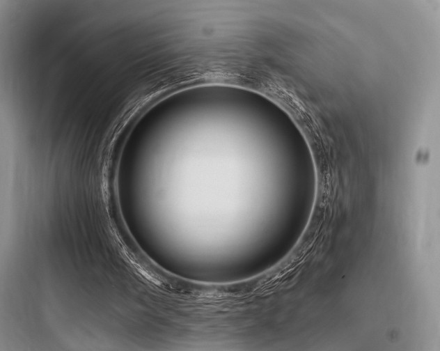 X0000097990098200803241350