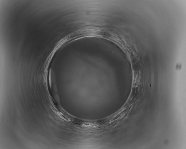 X0000097990099200803241350