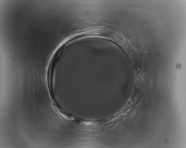X0000097990100200803241350