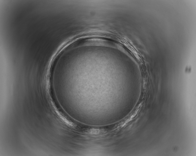 X0000097990101200803241350