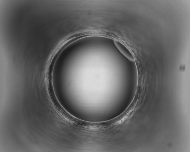 X0000097990103200803241350