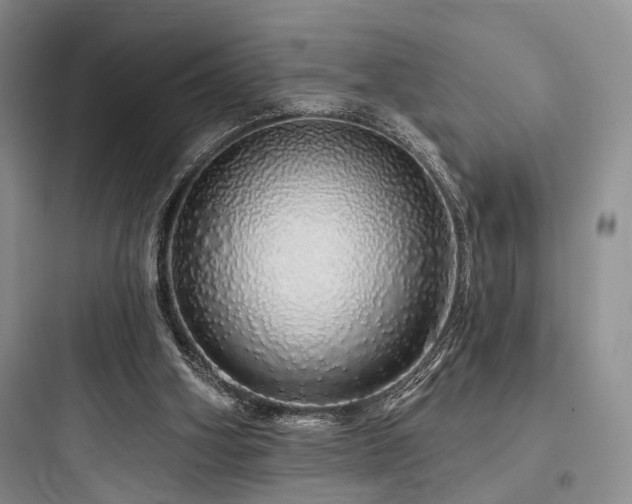 X0000097990106200803241350