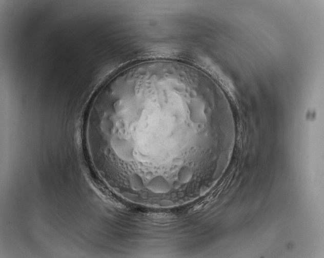 X0000097990107200803241350