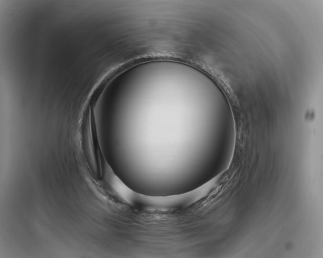 X0000097990108200803241350