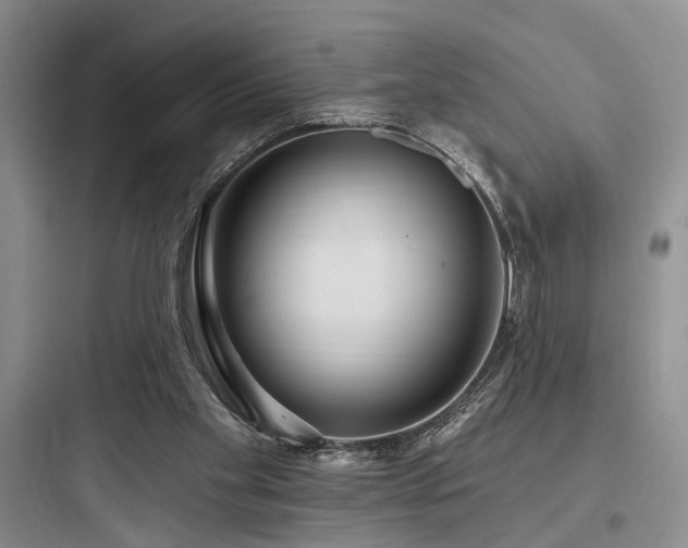 X0000097990109200803241350