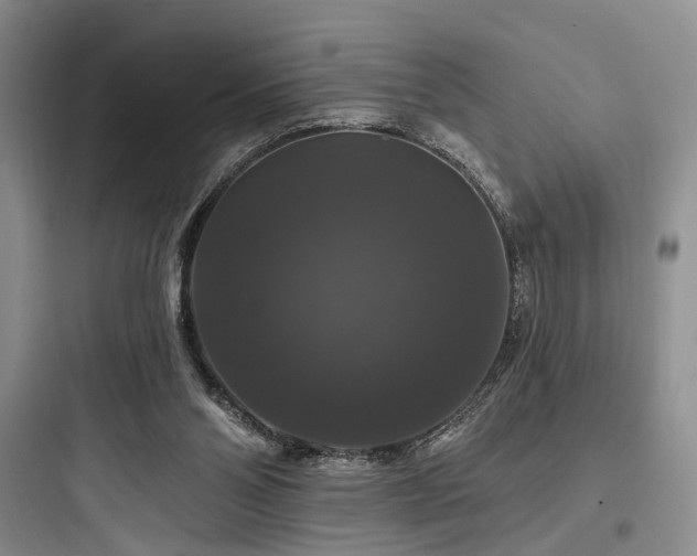 X0000097990110200803241350