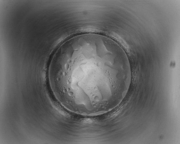 X0000097990111200803241350