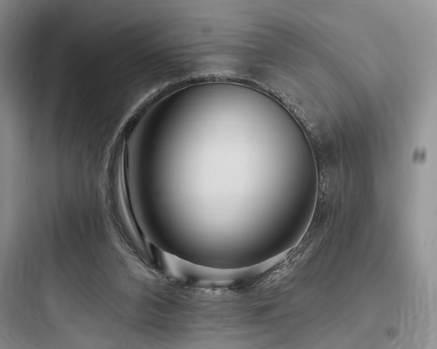 X0000097990112200803241350