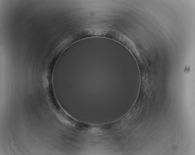 X0000097990114200803241350