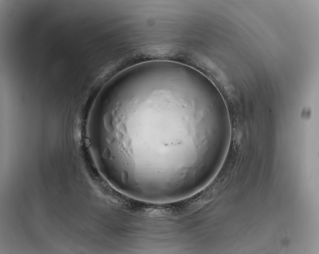 X0000097990115200803241350
