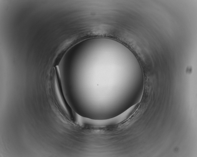 X0000097990116200803241350