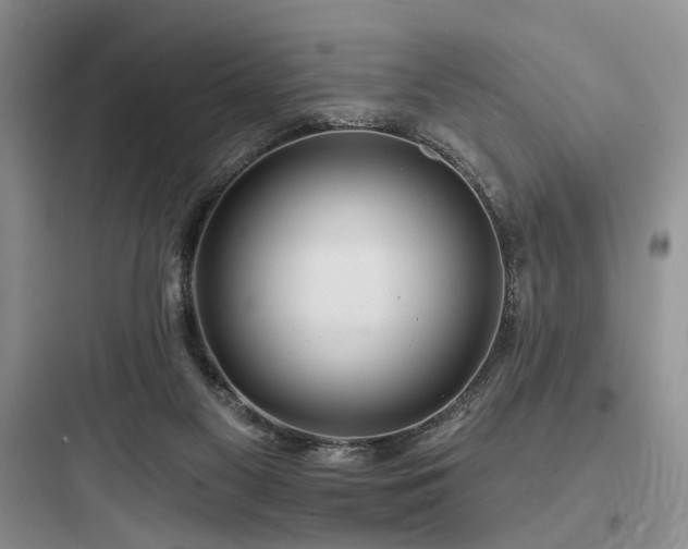 X0000097990117200803241350