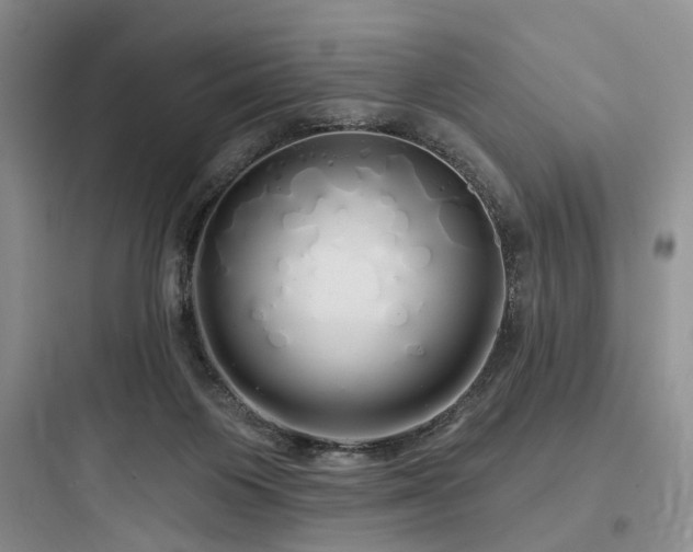 X0000097990119200803241350