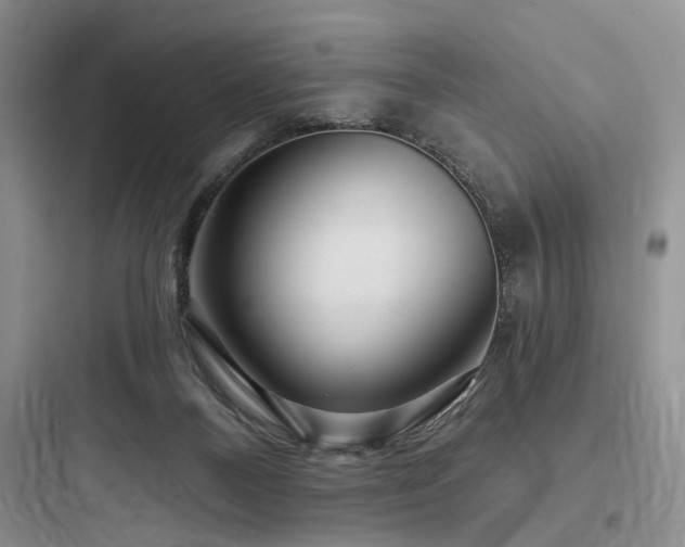 X0000097990120200803241350