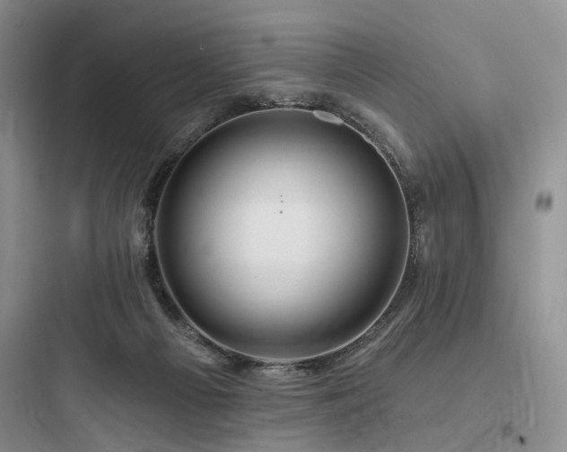 X0000097990121200803241350