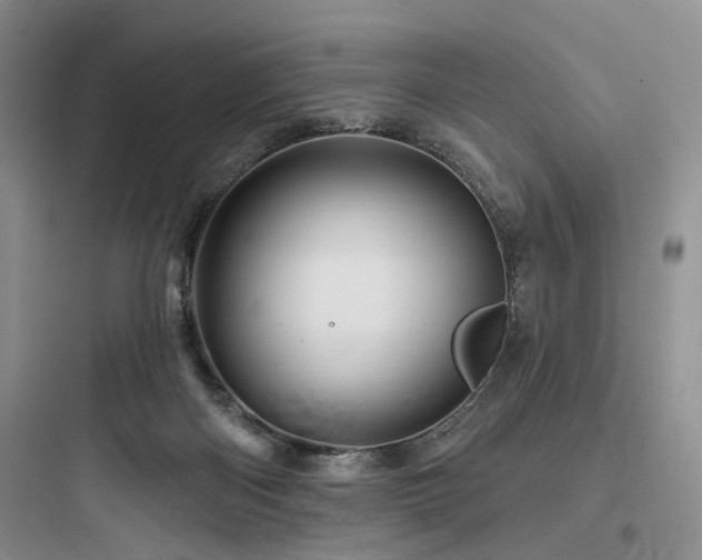 X0000097990122200803241350
